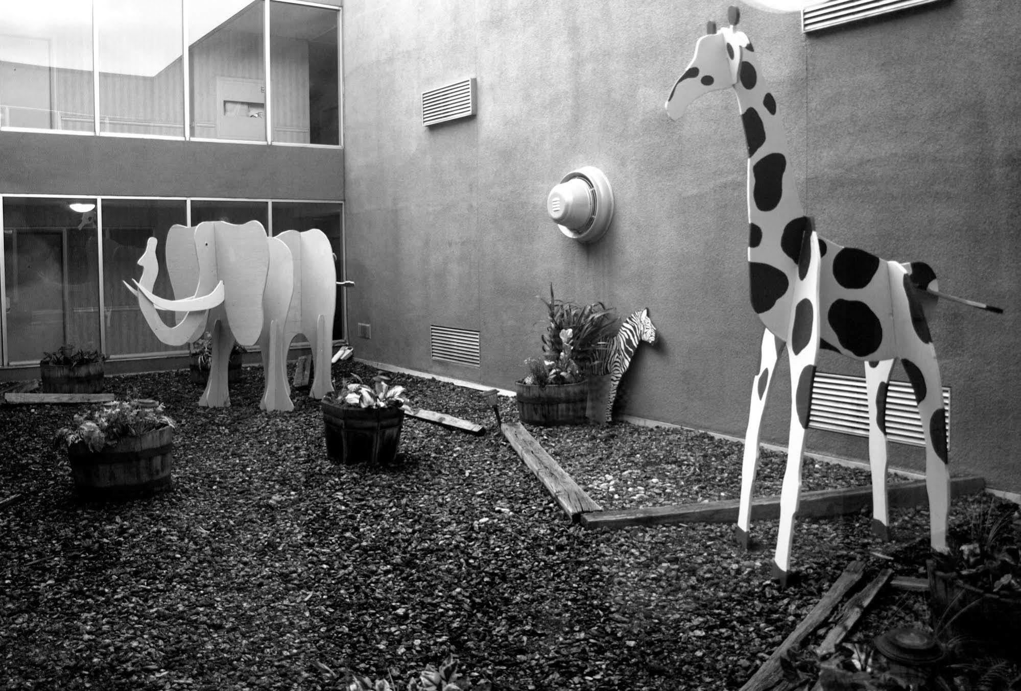 Safari Inn Downtown Boise Dış mekan fotoğraf